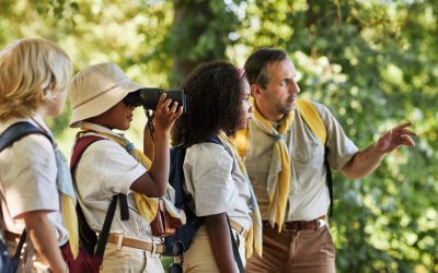 Safari in Style: How to Plan a Luxury African Safari