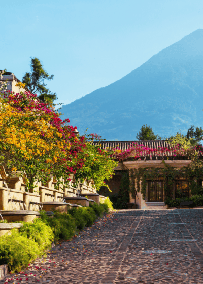 Vibrant flowers lining a picturesque cobblestone pathway.