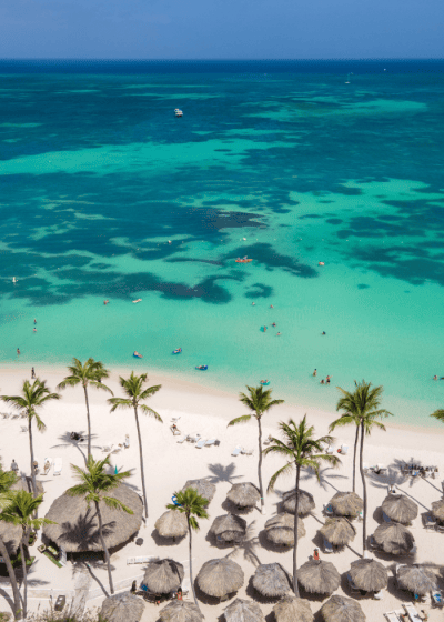 Aerial view of a tropical beach.
