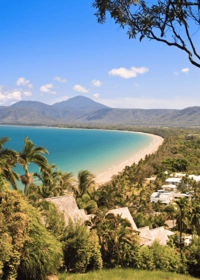 Scenic beach view with palm trees and mountains.