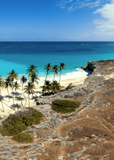 Rocky beach with palm trees and turquoise ocean.