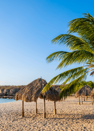 Beach huts under palm trees with blue sky.