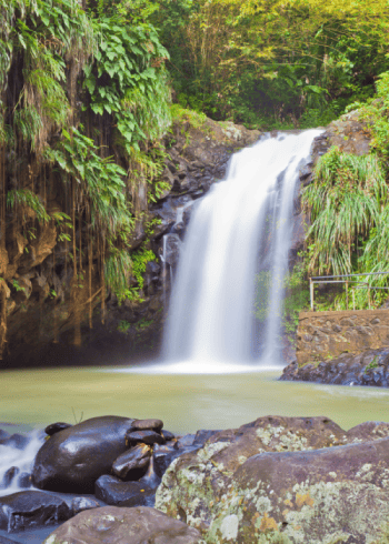Serene waterfall surrounded by vibrant greenery.
