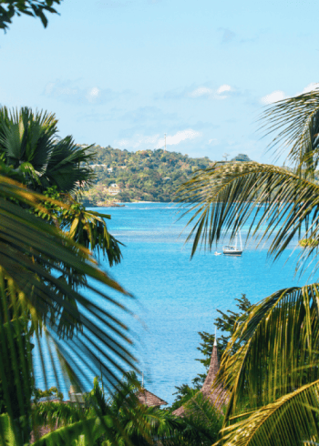 Tropical scene with palms and blue ocean view.