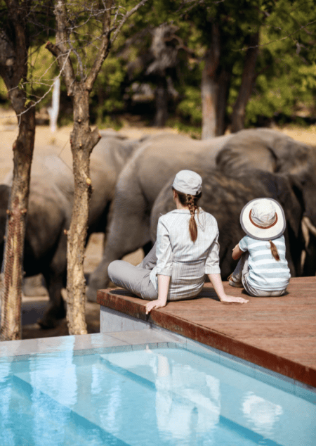 Two people enjoying a view of elephants.