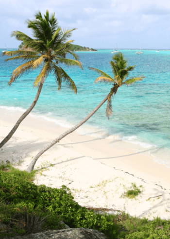 Tropical beach with palm trees and turquoise water.