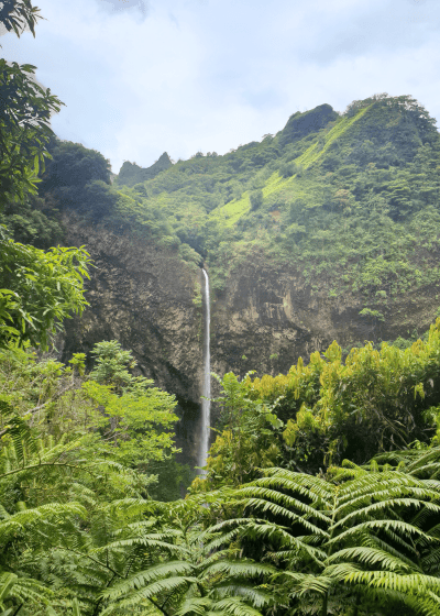 Lush greenery surrounding a tall waterfall.