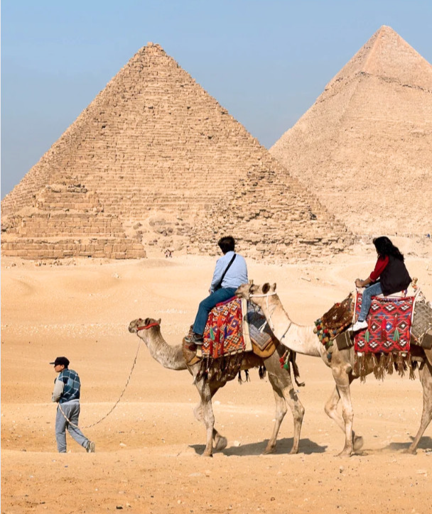 Camels with riders near the pyramids in Egypt.