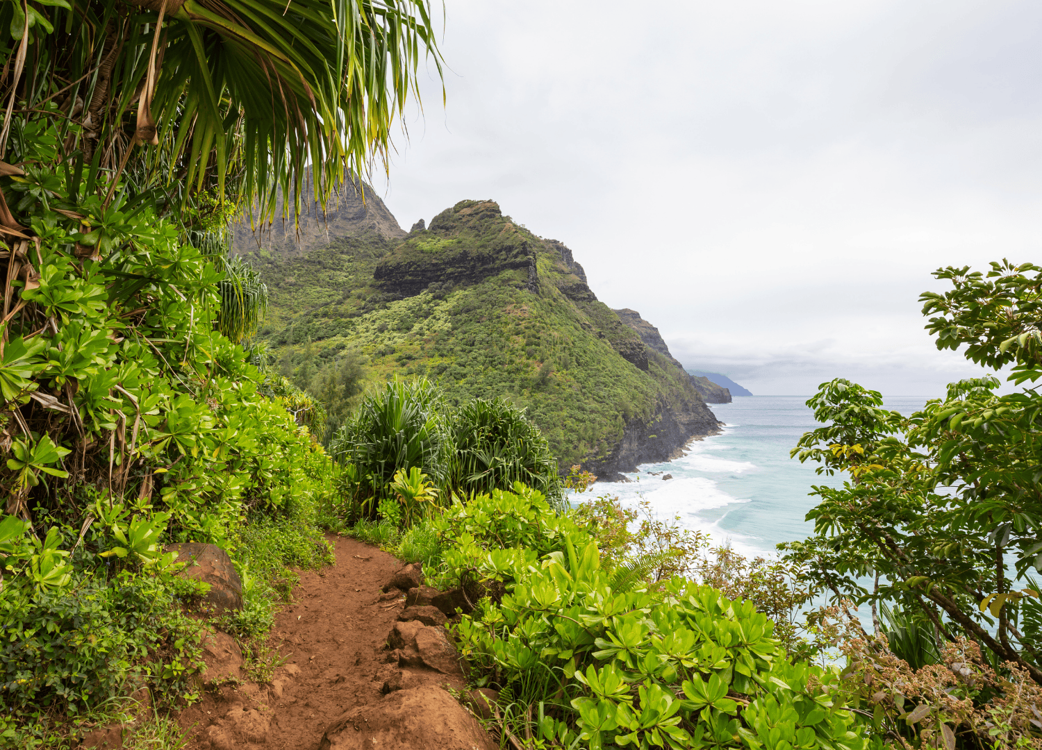 Lush coastal trail with ocean view