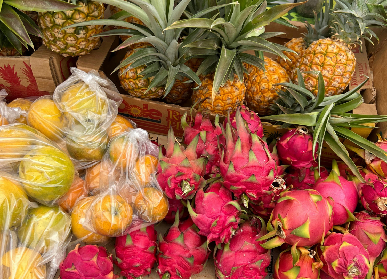 Tropical fruits: pineapples, dragon fruits, passion fruits.