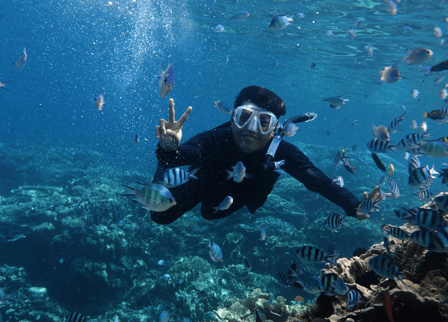 Person snorkeling with vibrant tropical fish underwater.