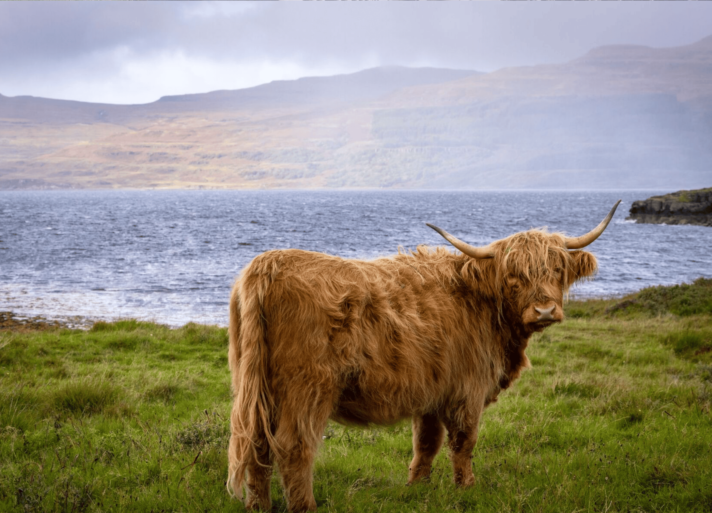Rothiemurchus Highland Estate