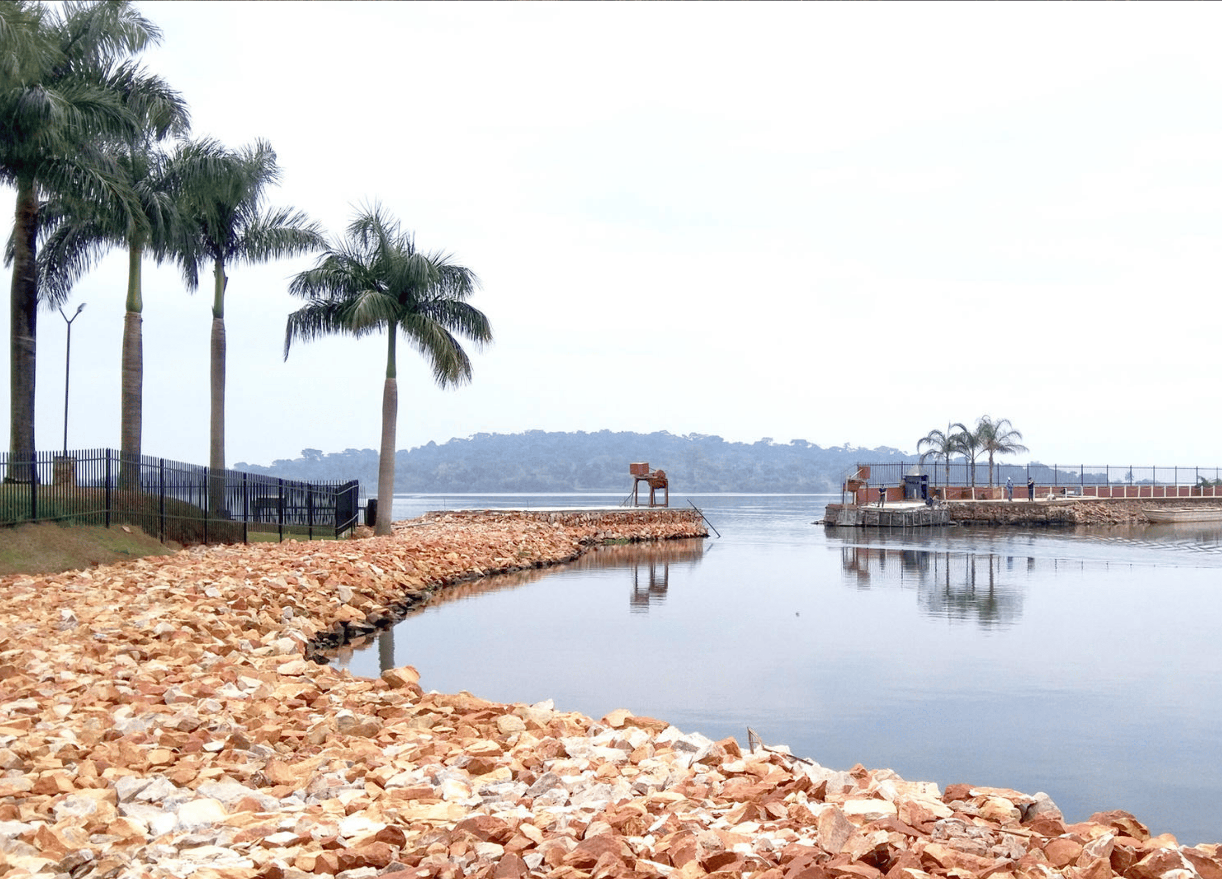 Tranquil lakeside view with palm trees.