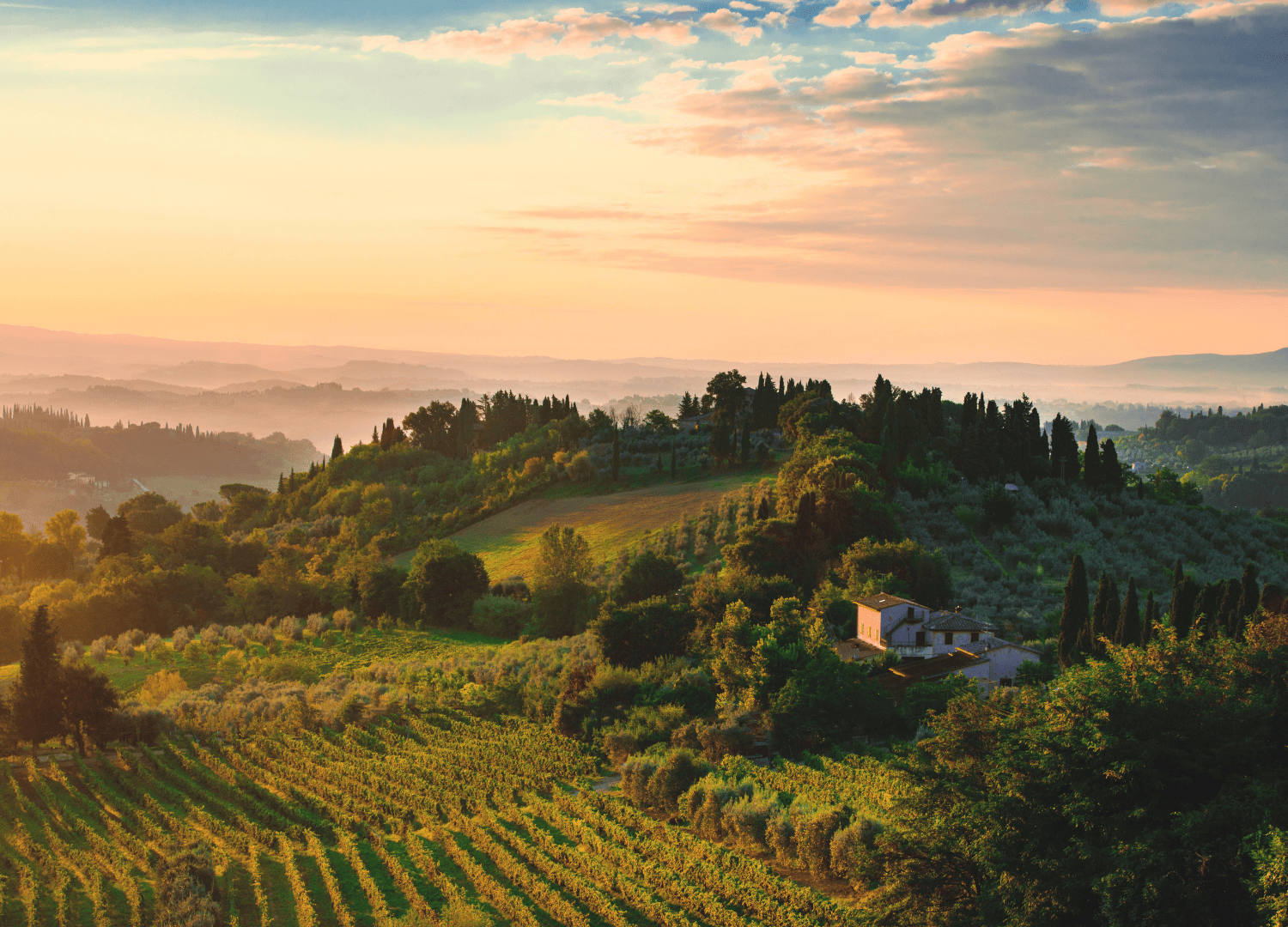 Scenic sunset over Tuscan countryside vineyards.