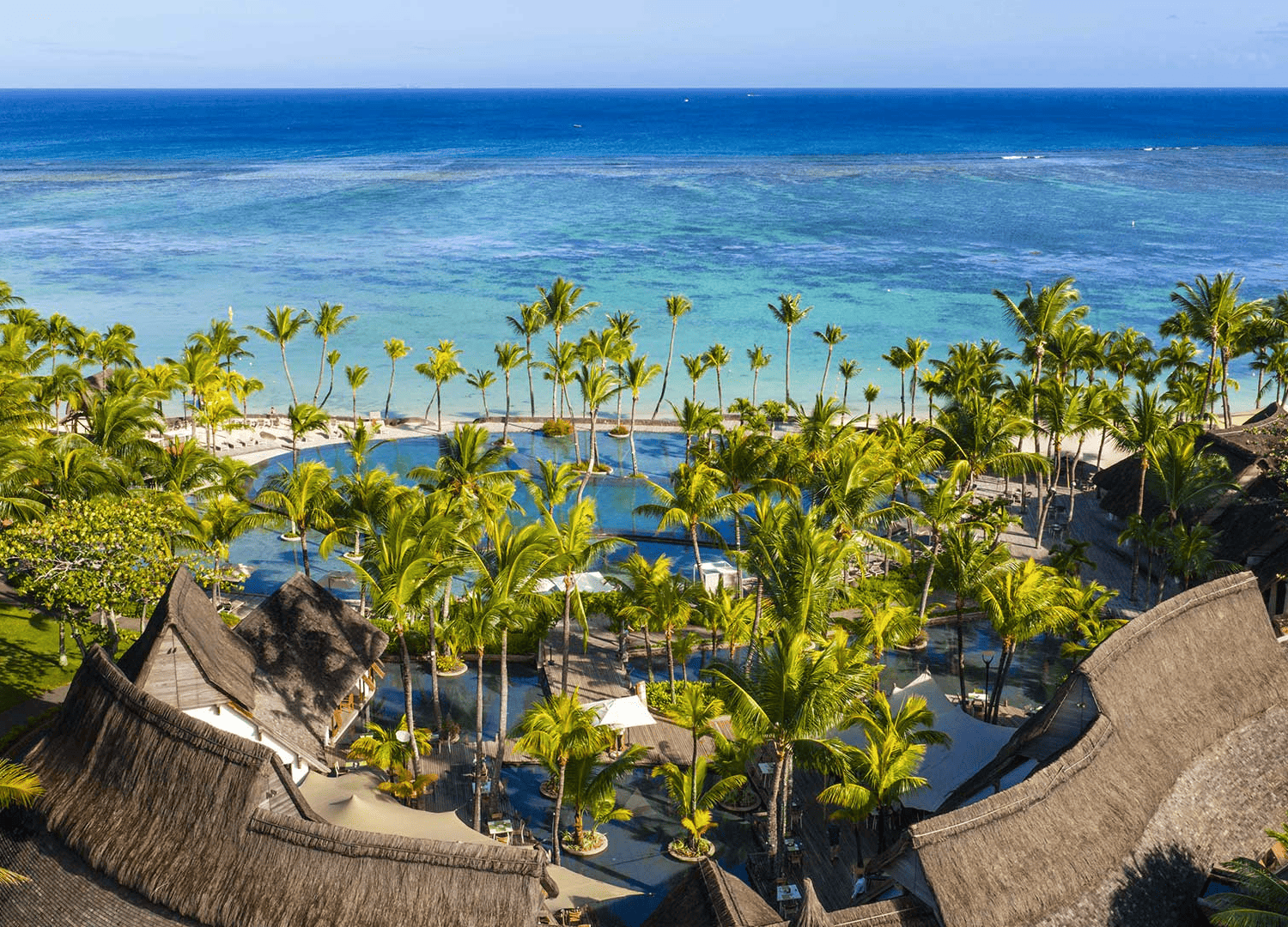 Tropical beach resort with palm trees and ocean.
