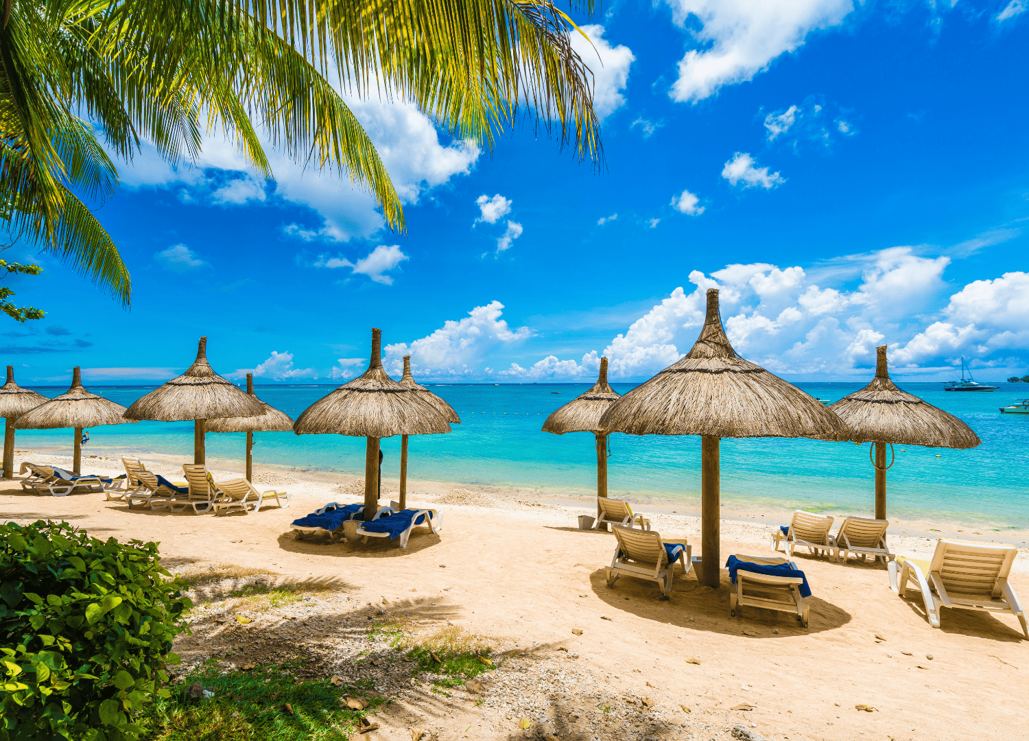 Tropical beach with umbrellas and lounge chairs