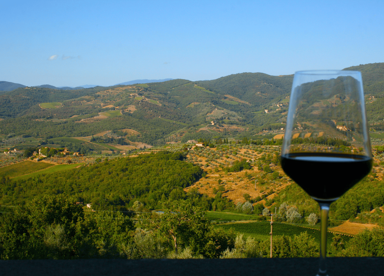 Glass of red wine overlooking vineyard landscape.