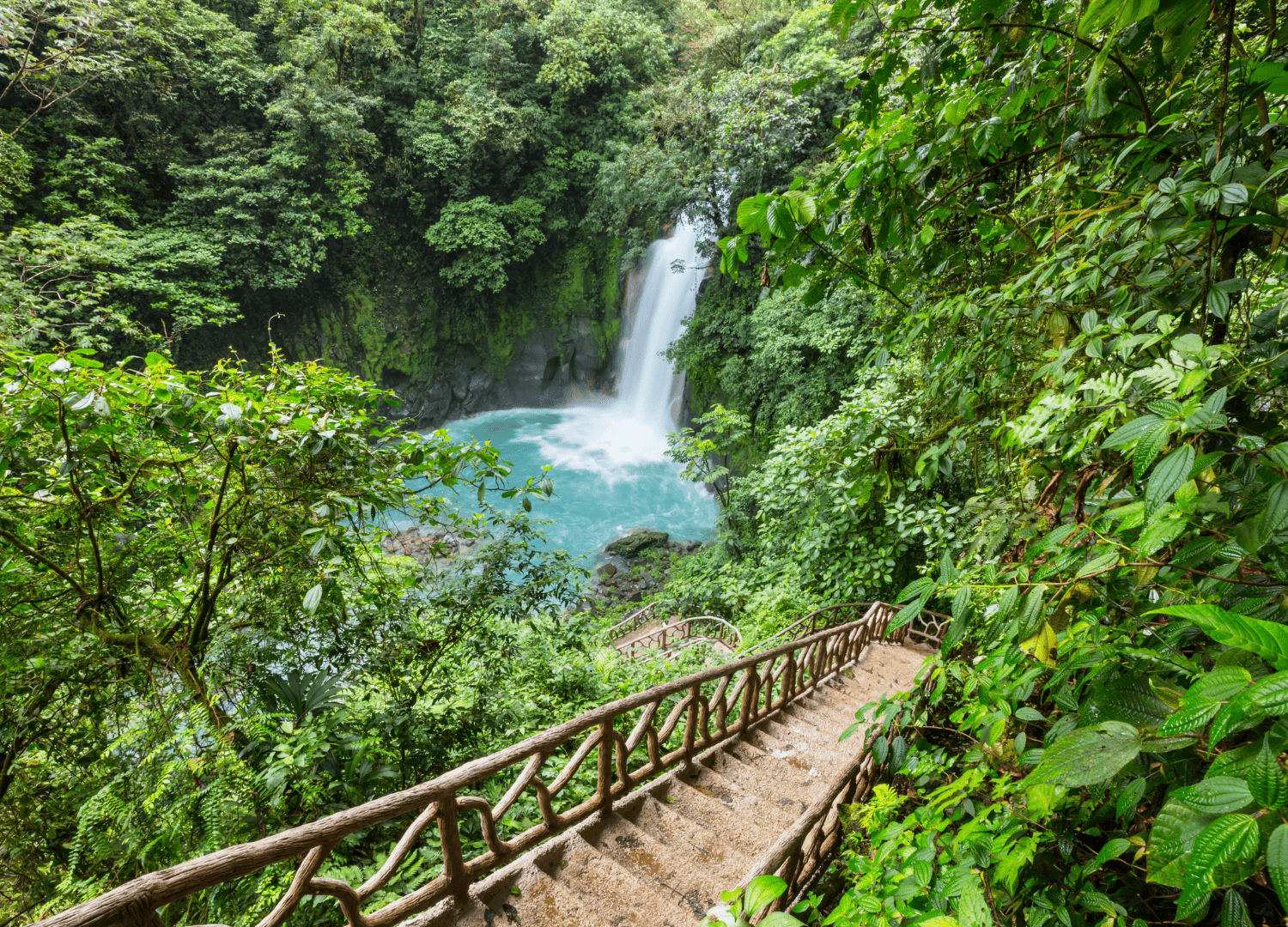 Tropical waterfall and lush forest with wooden stairs.
