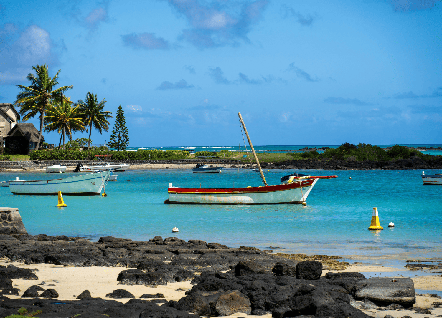 Tropical beach with boats and palm trees.