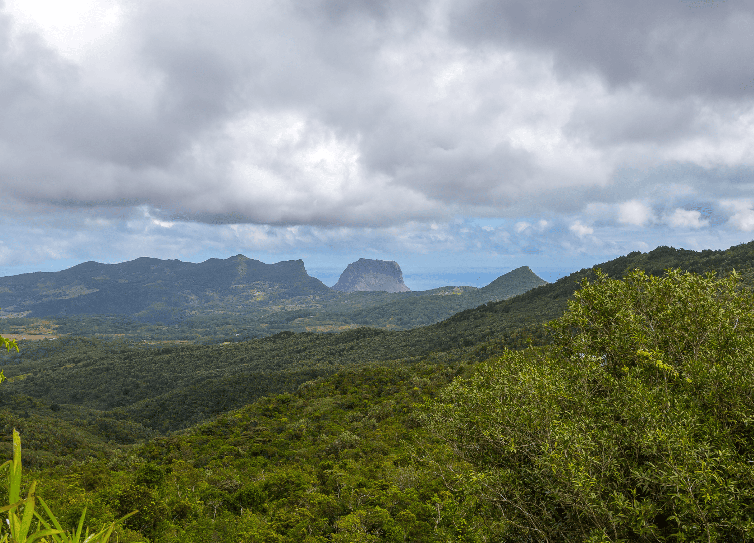 Scenic mountain view with lush greenery and clouds.