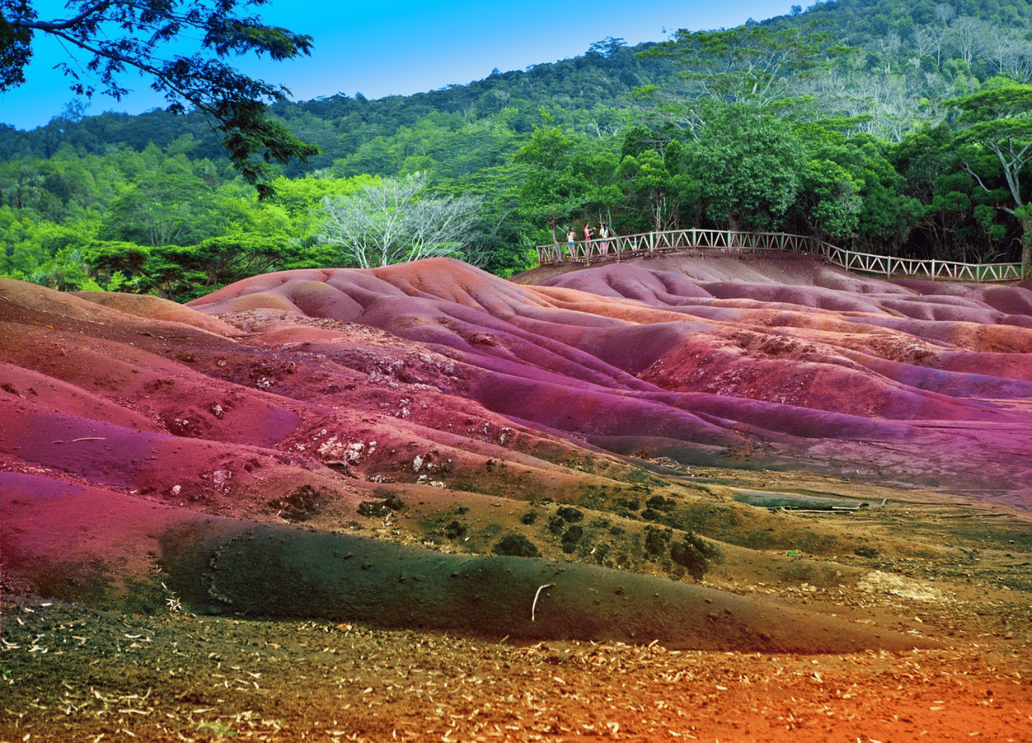 Colorful sand dunes in lush green landscape.