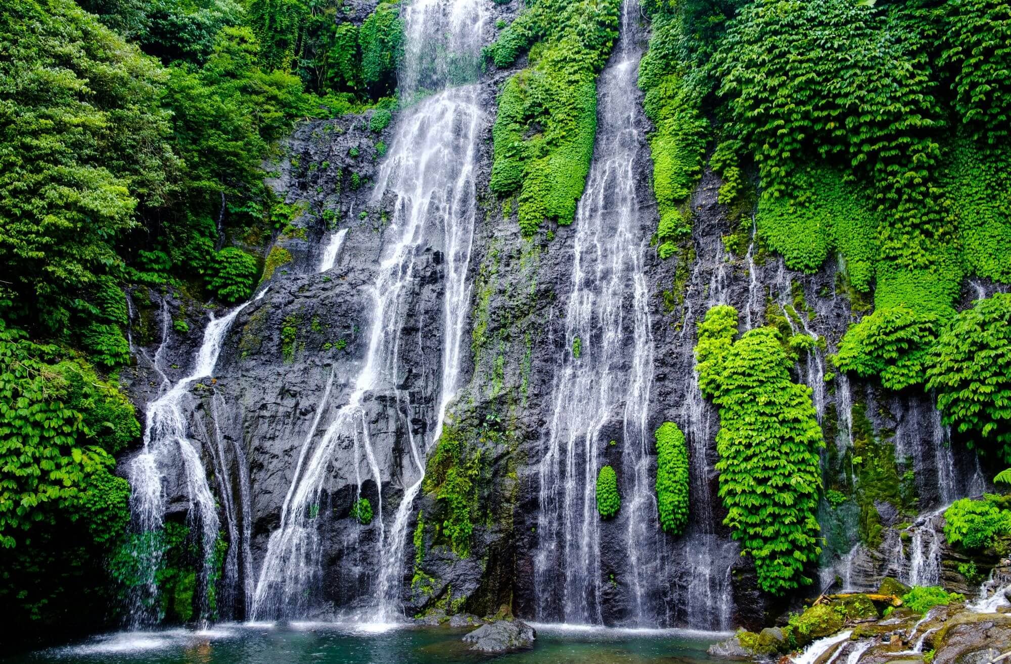 Lush waterfall cascading over vibrant green foliage.
