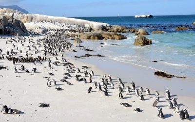 19 Underrated Beach Destinations | Andrew Burns Travel Co.