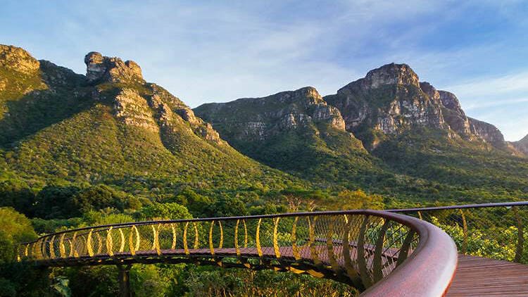 Curved walkway overlooking lush mountains and forest.